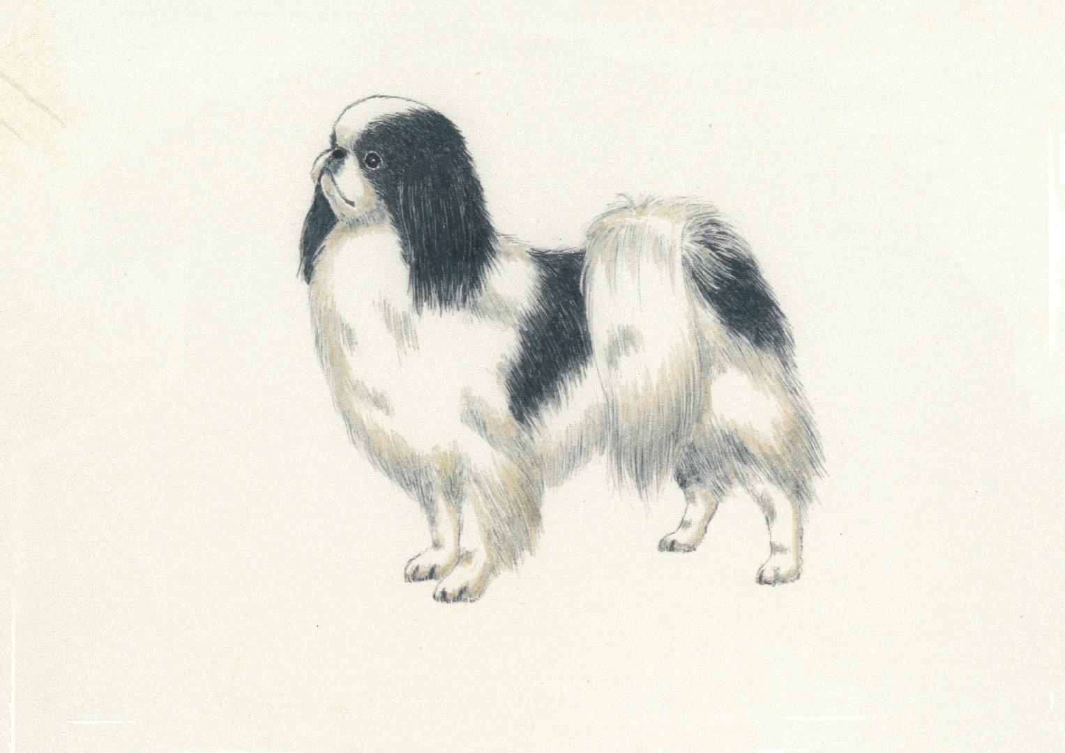 狆